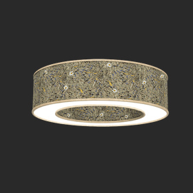 Natural Donut LED