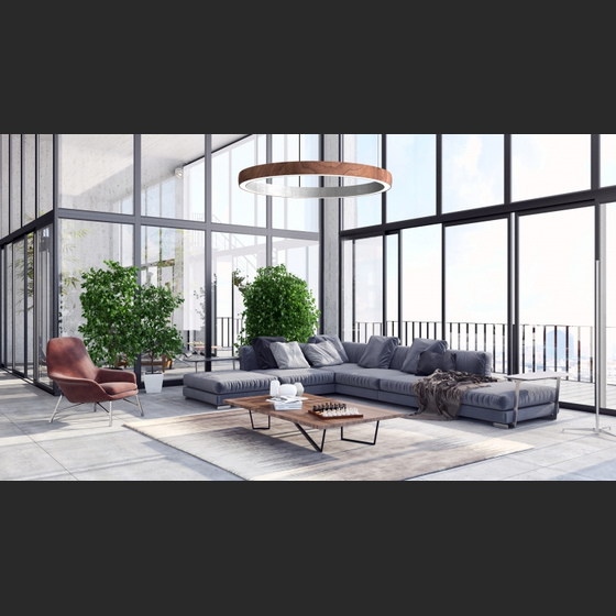 Wood Ring LED Diffuse Dual