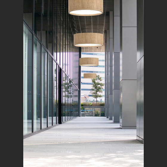 Wood Round LED 850x300 MR 3000 K Eiche